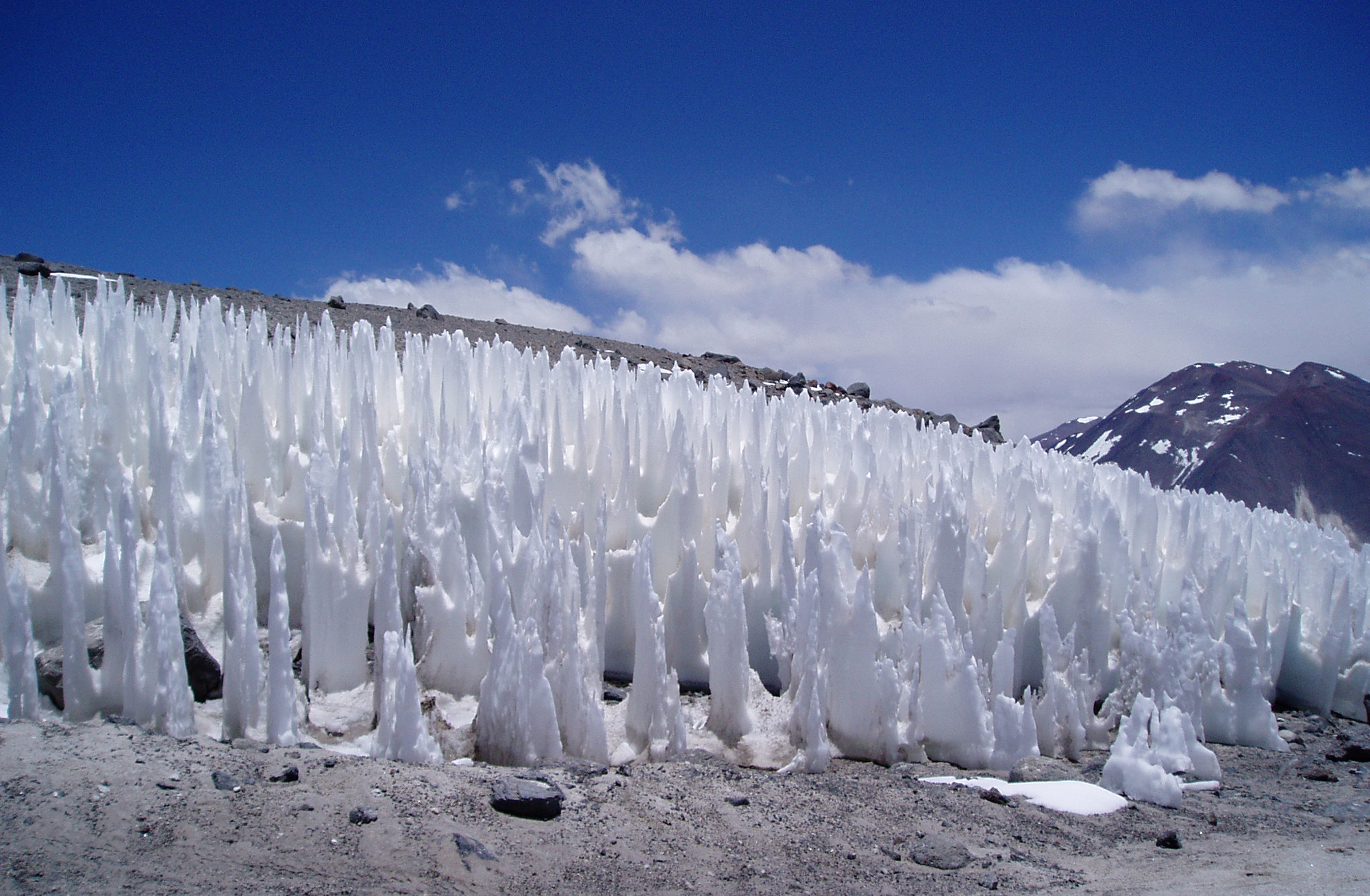 Penitentes