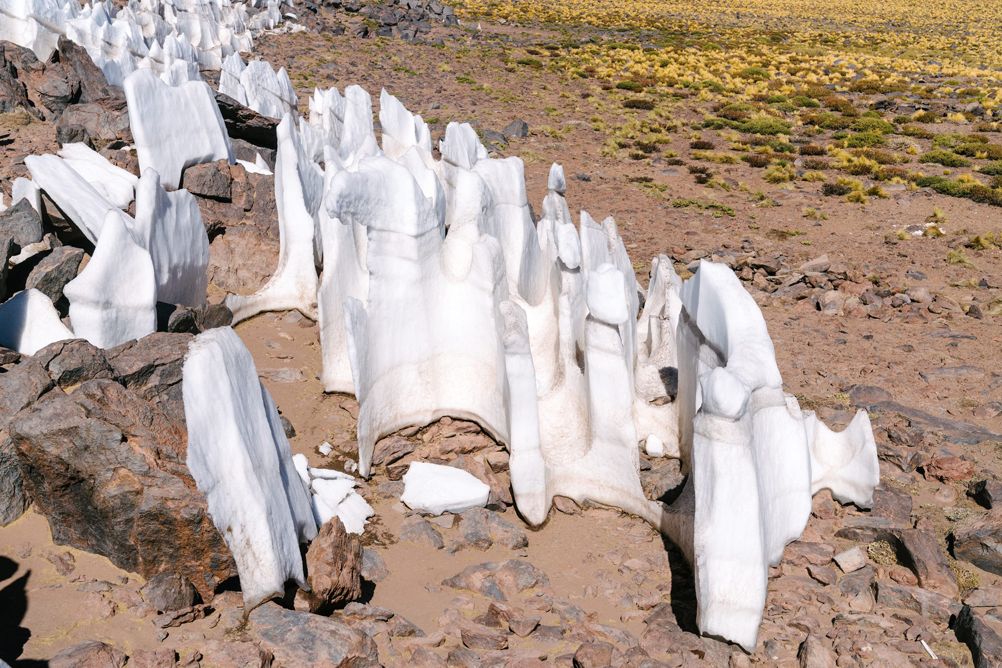 Penitentes