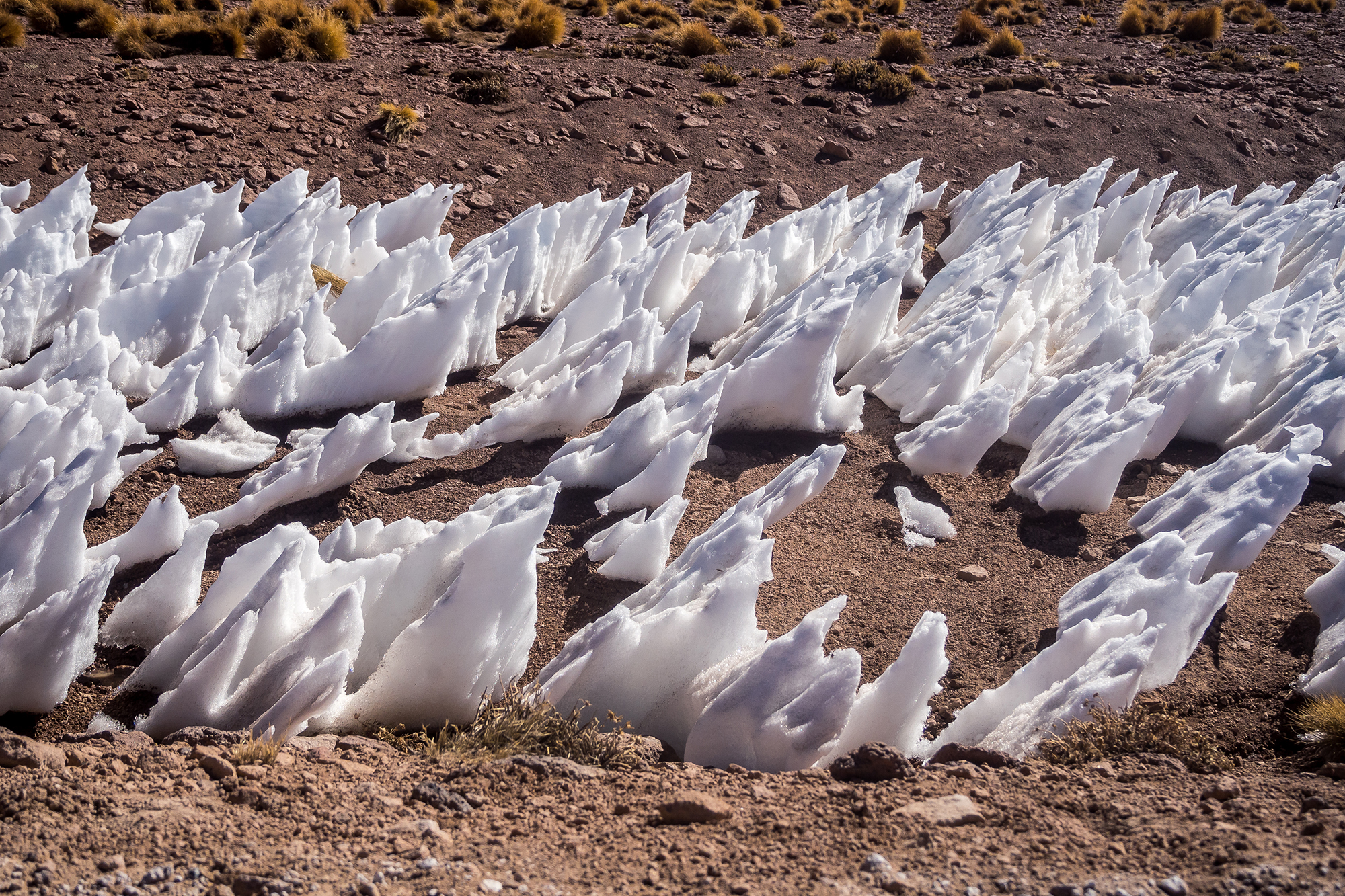 Penitentes