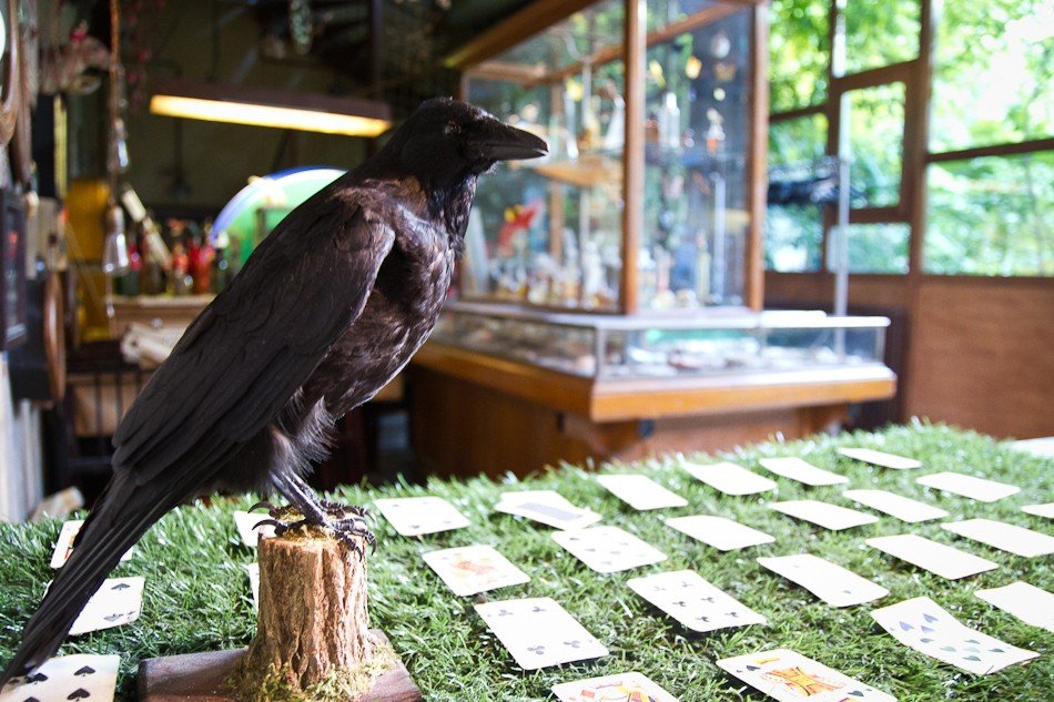 le-comptoir-general-paris-8