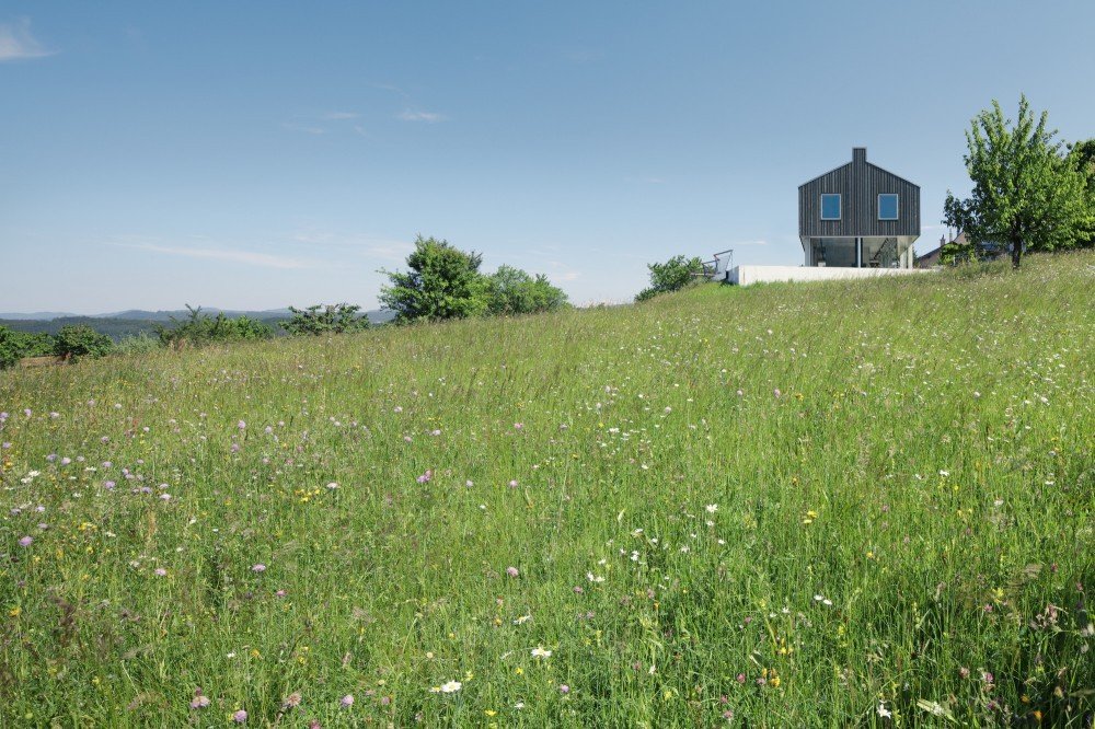 house-d-hhf-architects-2