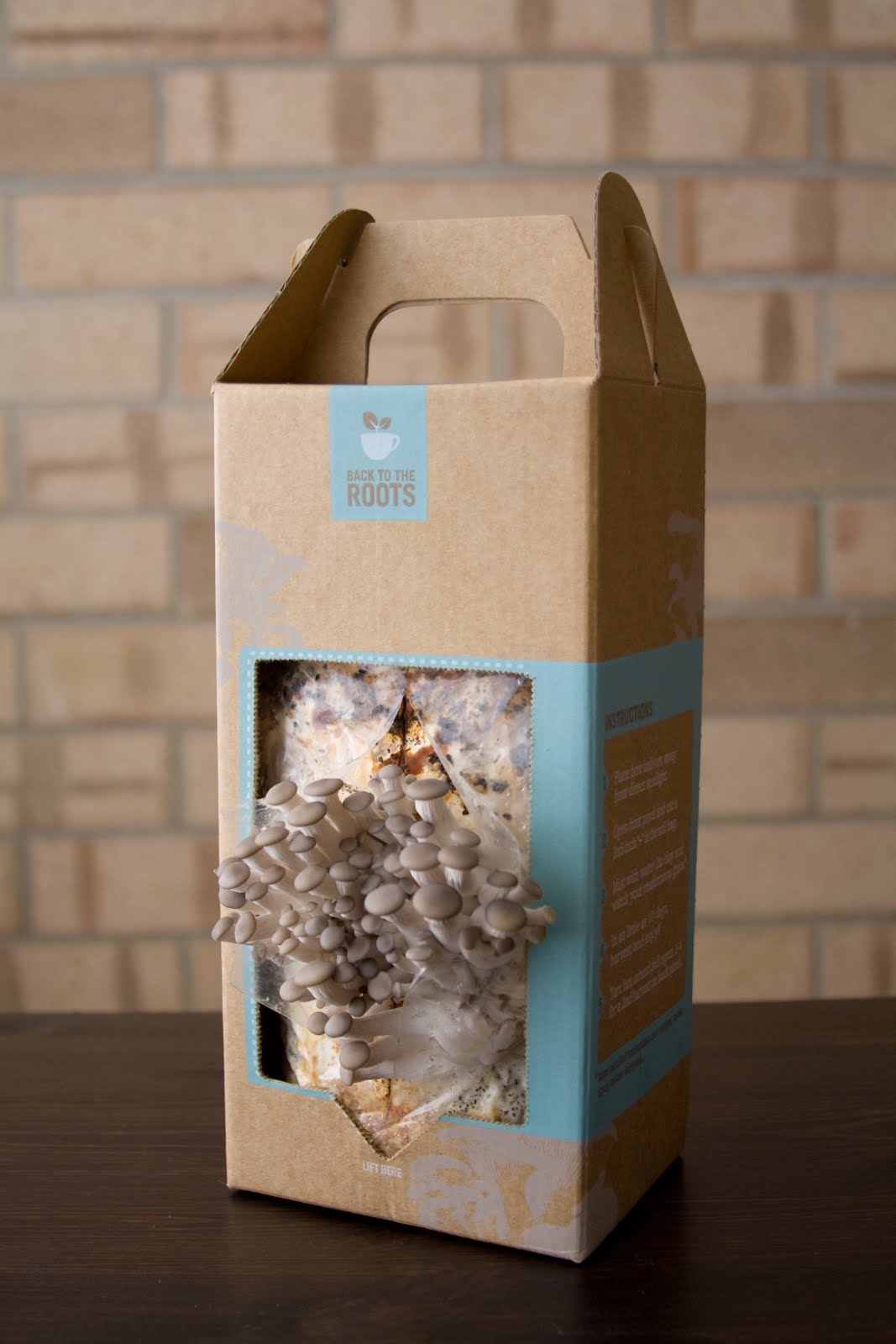 back-to-the-roots-by-alejandro-velez-and-nikhil-arora-9