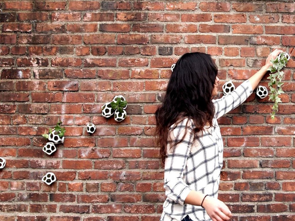 cella-creative-planters-by-ecoid-2
