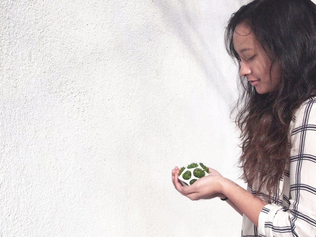 cella-creative-planters-by-ecoid-4