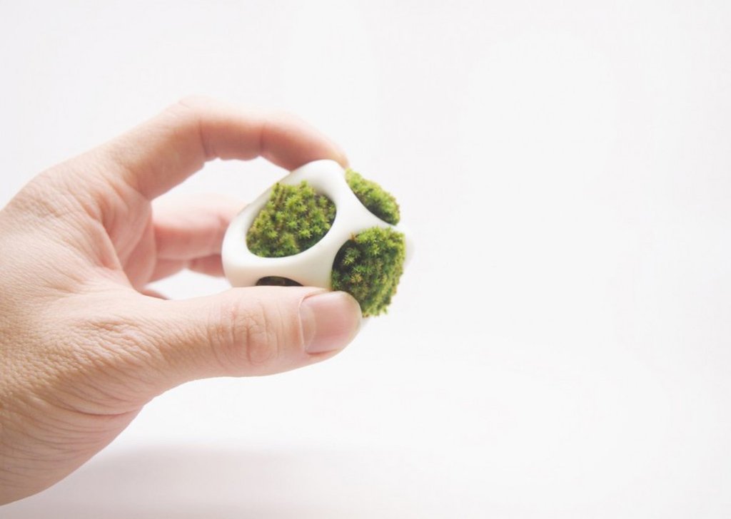 cella-creative-planters-by-ecoid-7