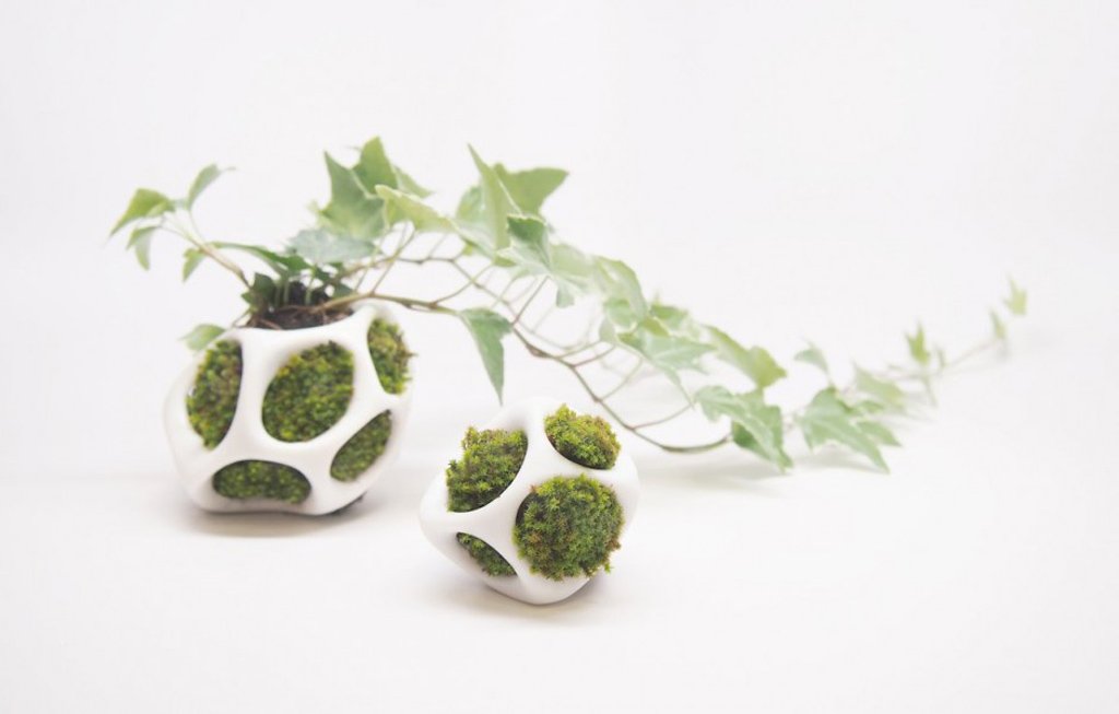 cella-creative-planters-by-ecoid-8