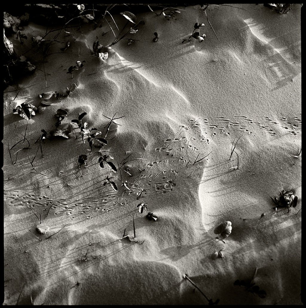 surf-texas-by-kenny-braun-12