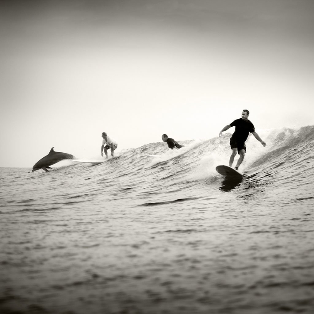 surf-texas-by-kenny-braun-2