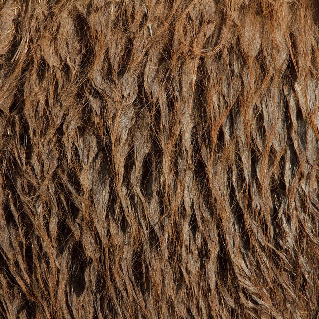closeup-photographs-of-animal-skin-bactrian_camel