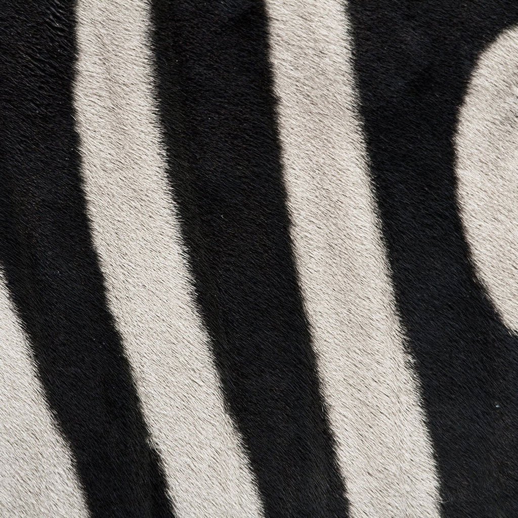 closeup-photographs-of-animal-skin-zebra