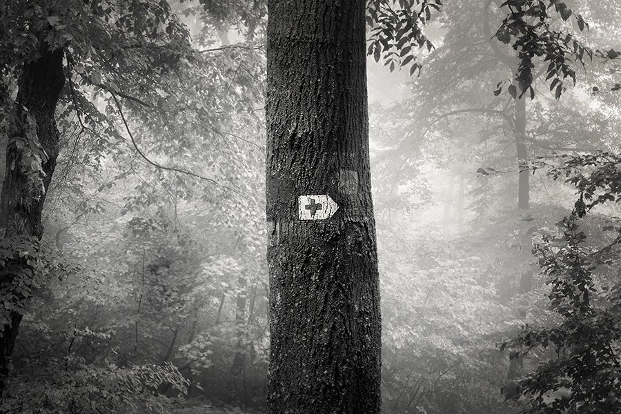akos-major-photography-4
