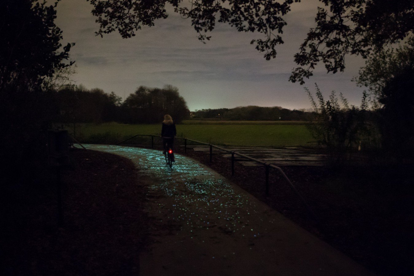 van-gogh-roosegaarde-starry-night-bike-path-10