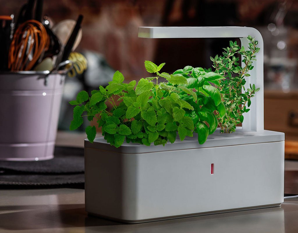 jumpstart-a-home-garden-with-click-and-grow-3