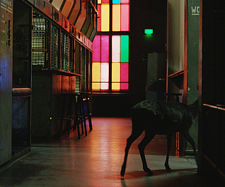 design-destination-berlin-gessato-6