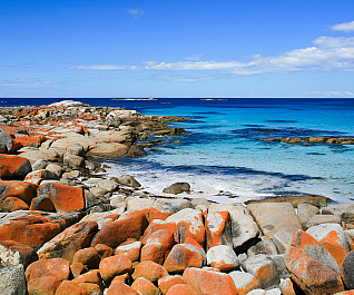 design-destination-tasmania-australia-5