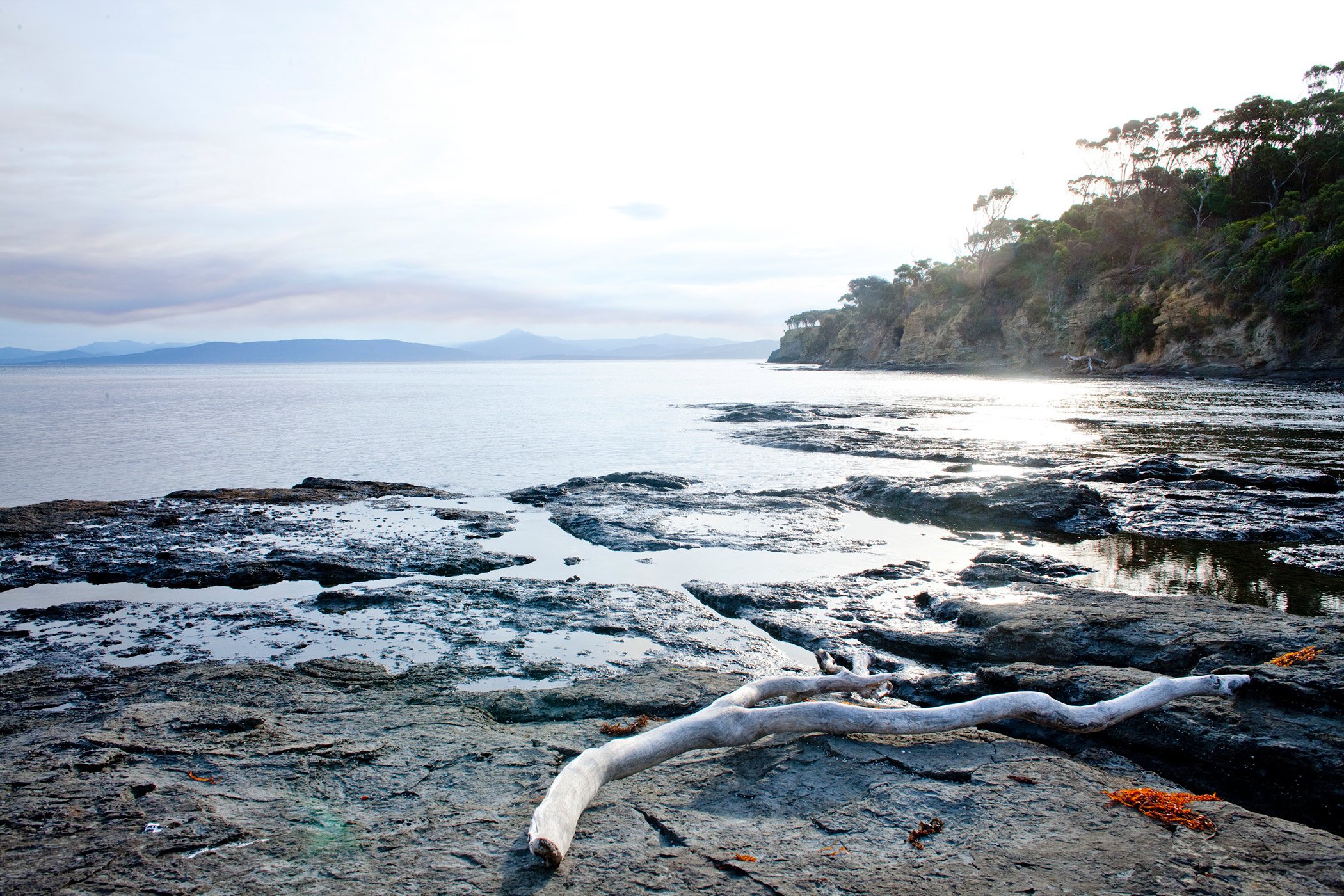 A Unique Private Island In Tasmania
