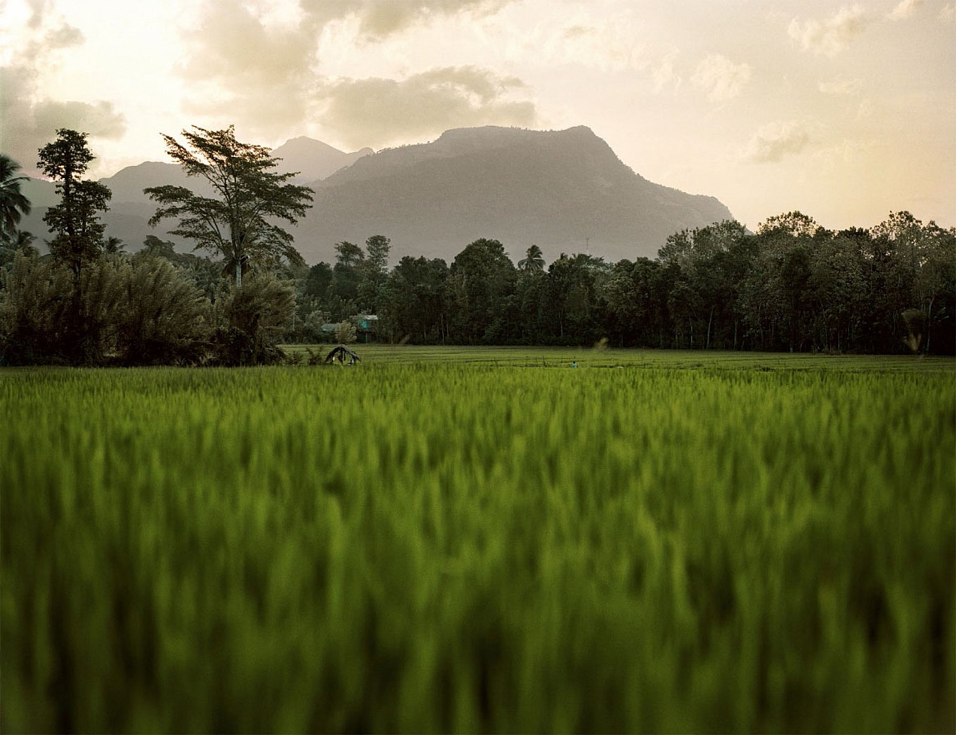 a-journey-through-sri-lanka-frederic-lagrange-1