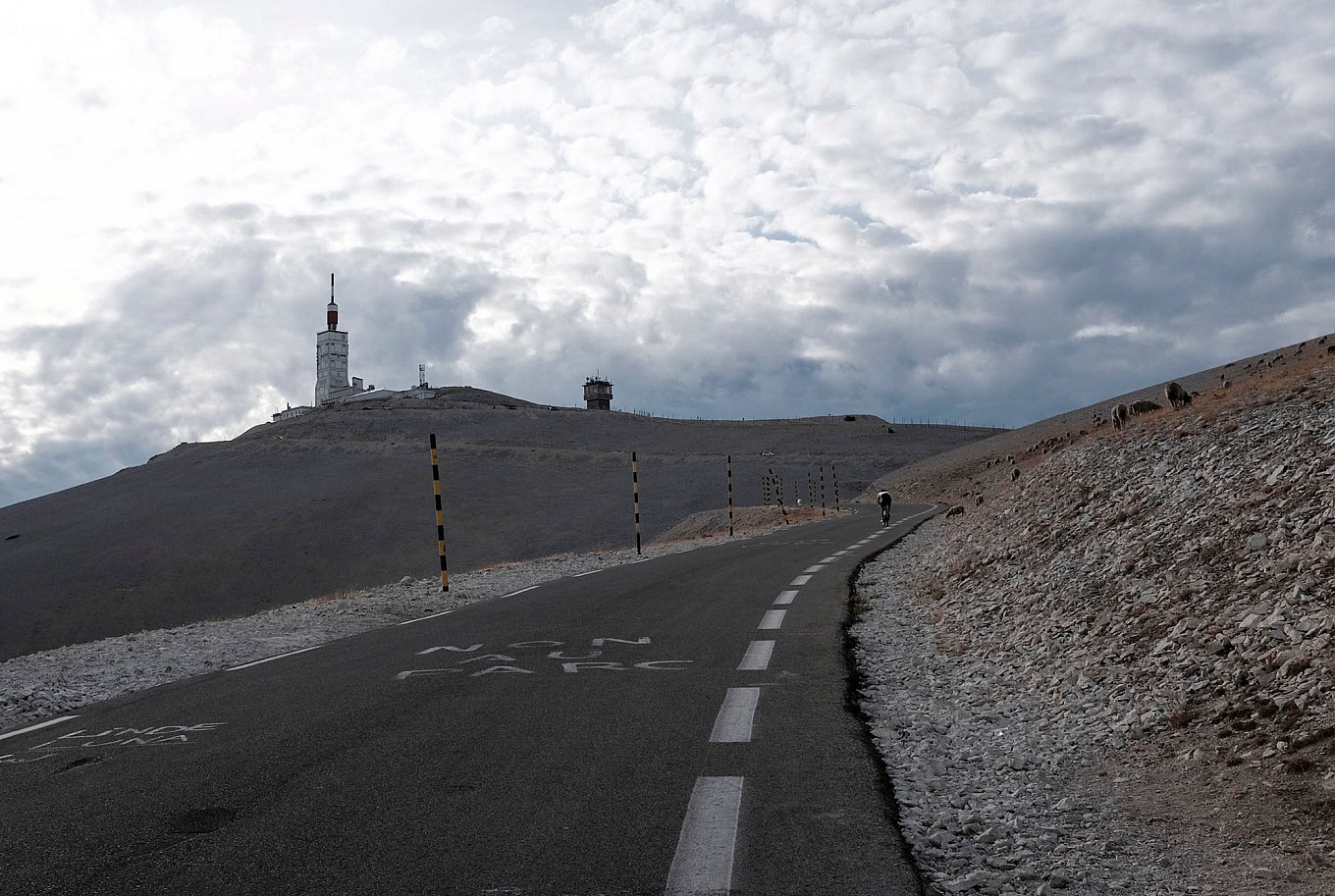 transcontinental-bicycle-race-gessato-4