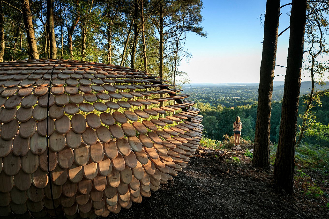 organic-cedar-wood-pavilion-giles-miller-1