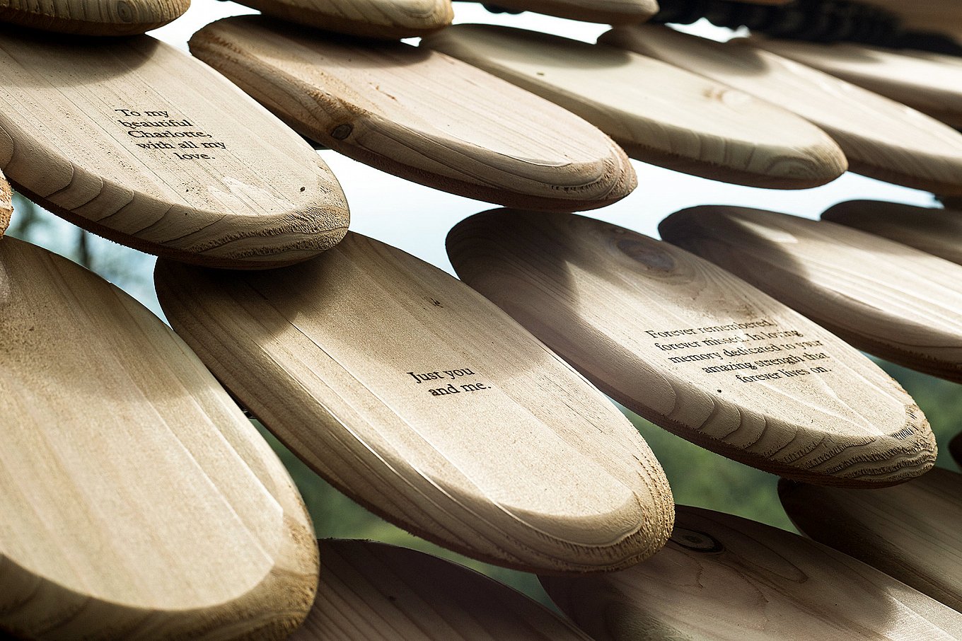 organic-cedar-wood-pavilion-giles-miller-11