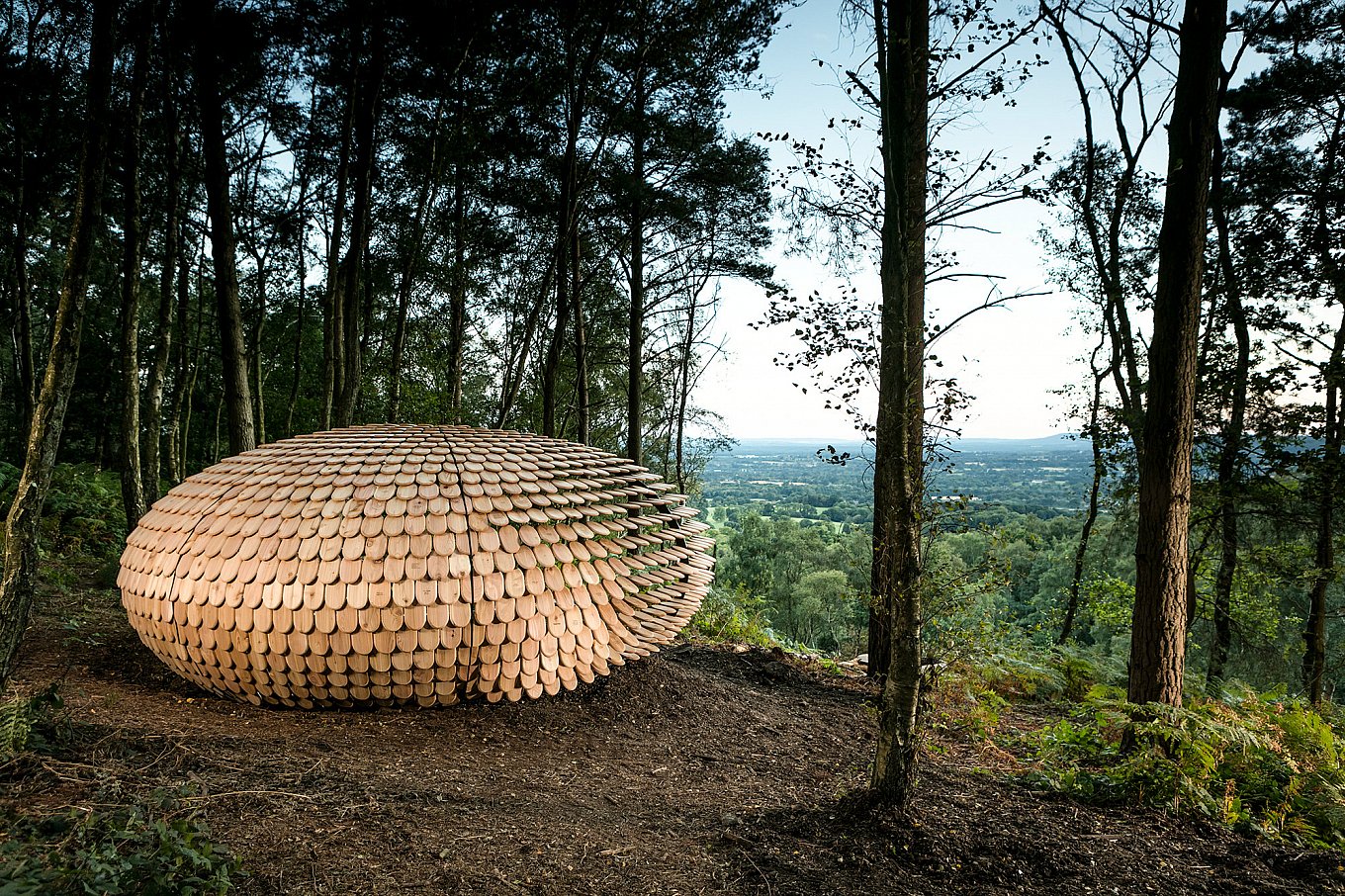 organic-cedar-wood-pavilion-giles-miller-2