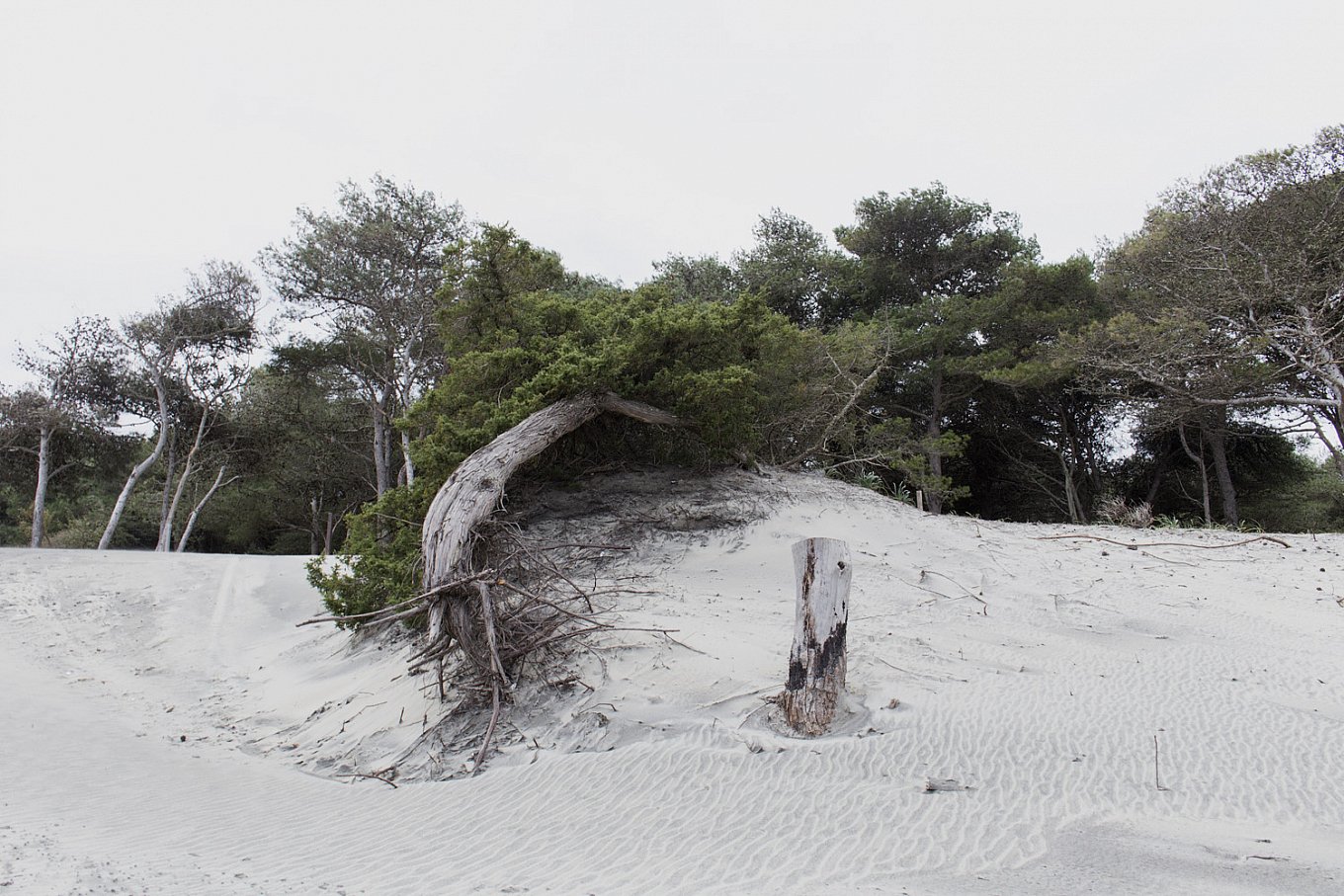 finibus-terrae-by-adriano-nicoletti-gessato-2