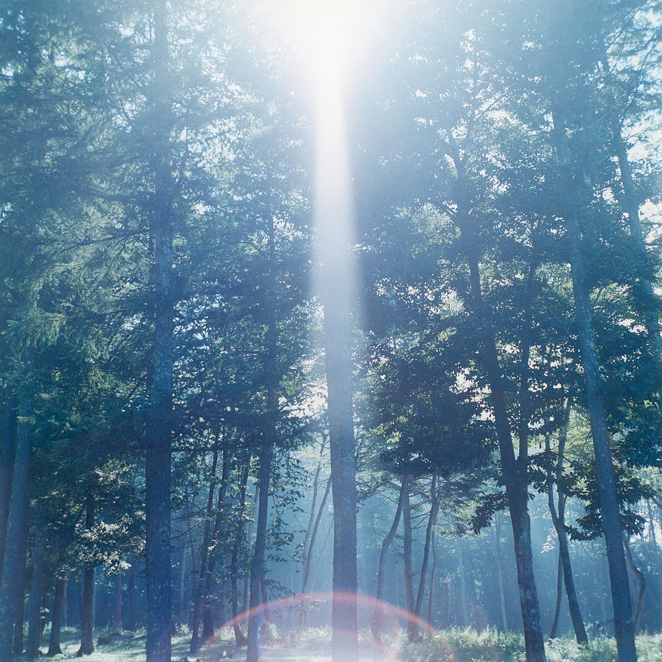 rinko-kawauchi-s-serene-dream-like-photography-gessato