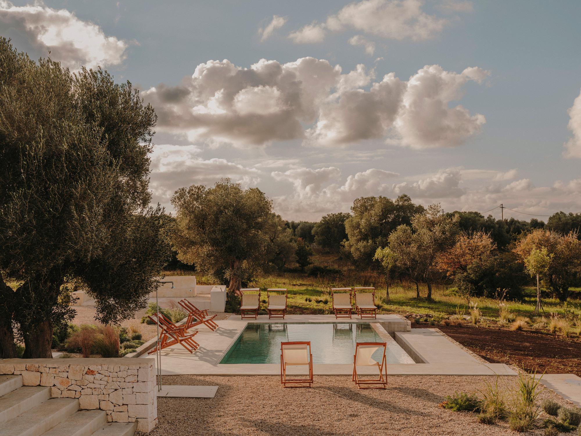 Casa Maiora, swimming pool olive trees