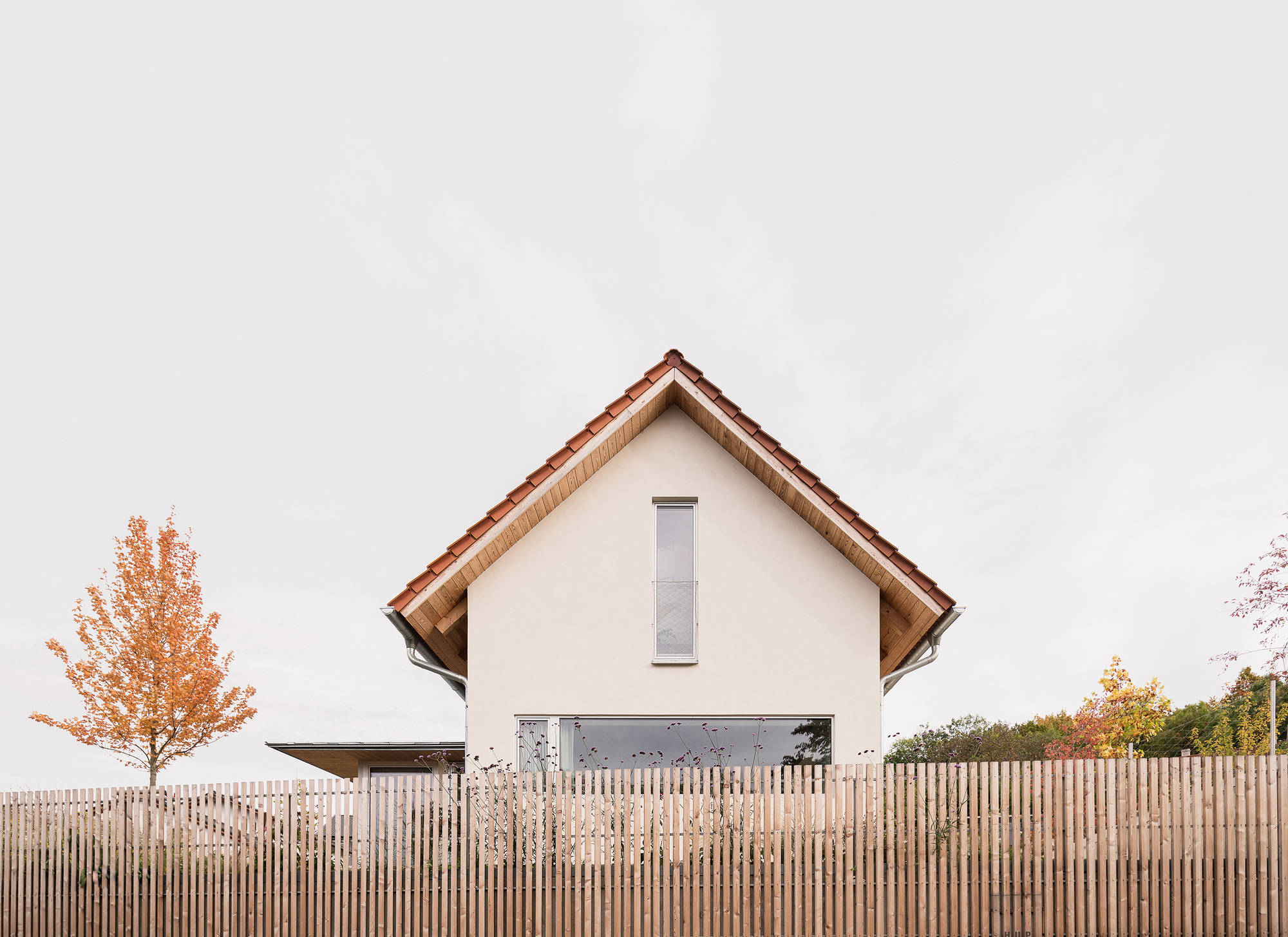House in Zbraslav by Martin Neruda Architektura