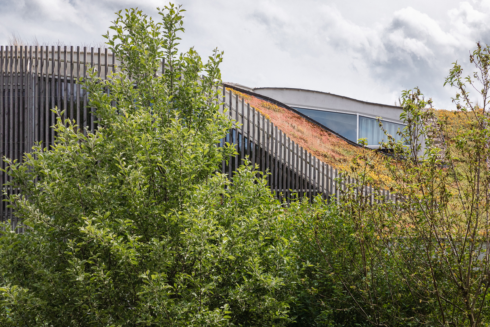 Family House in Hlubocepy - Gessato