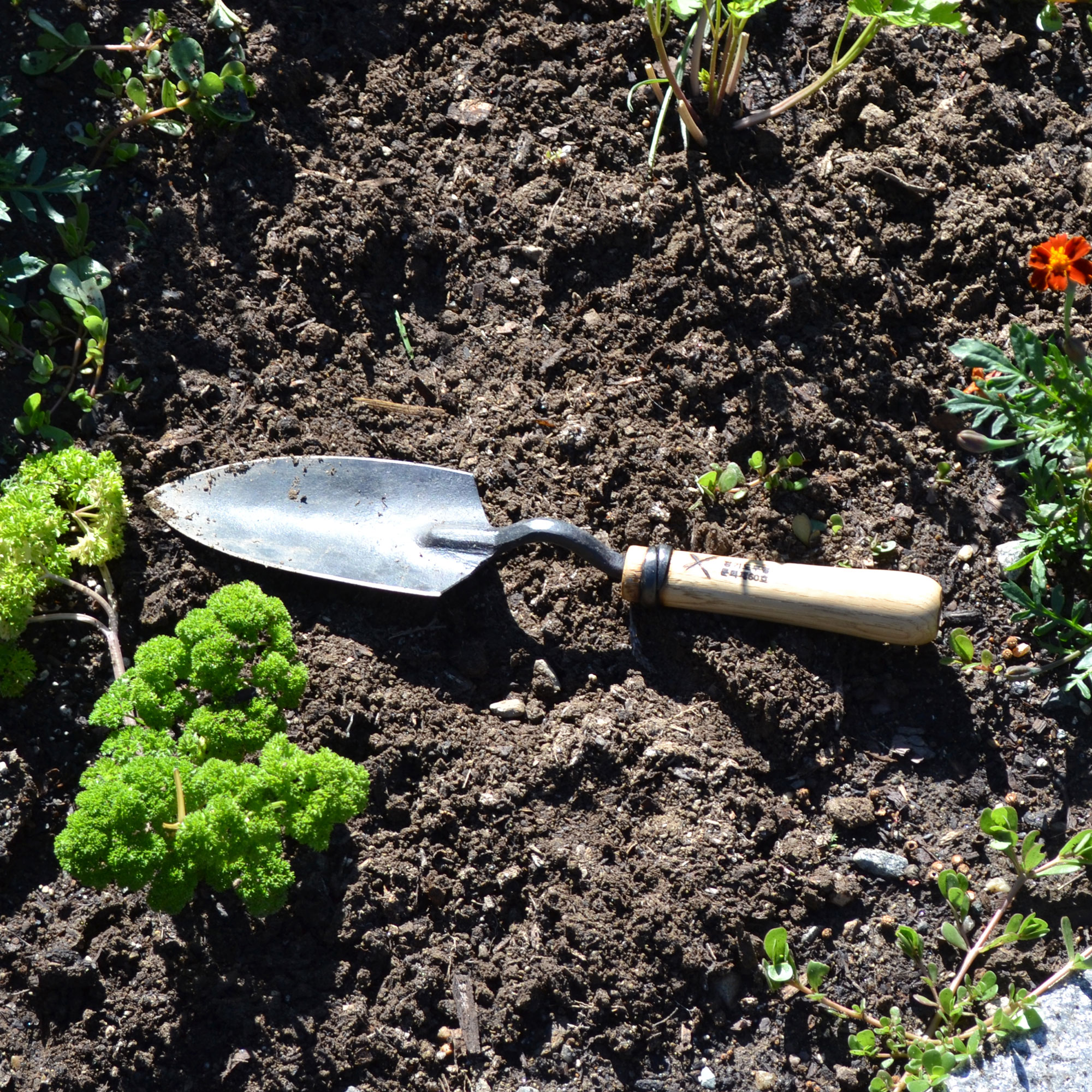 Introducing Master Shin’s Anvil - Gessato