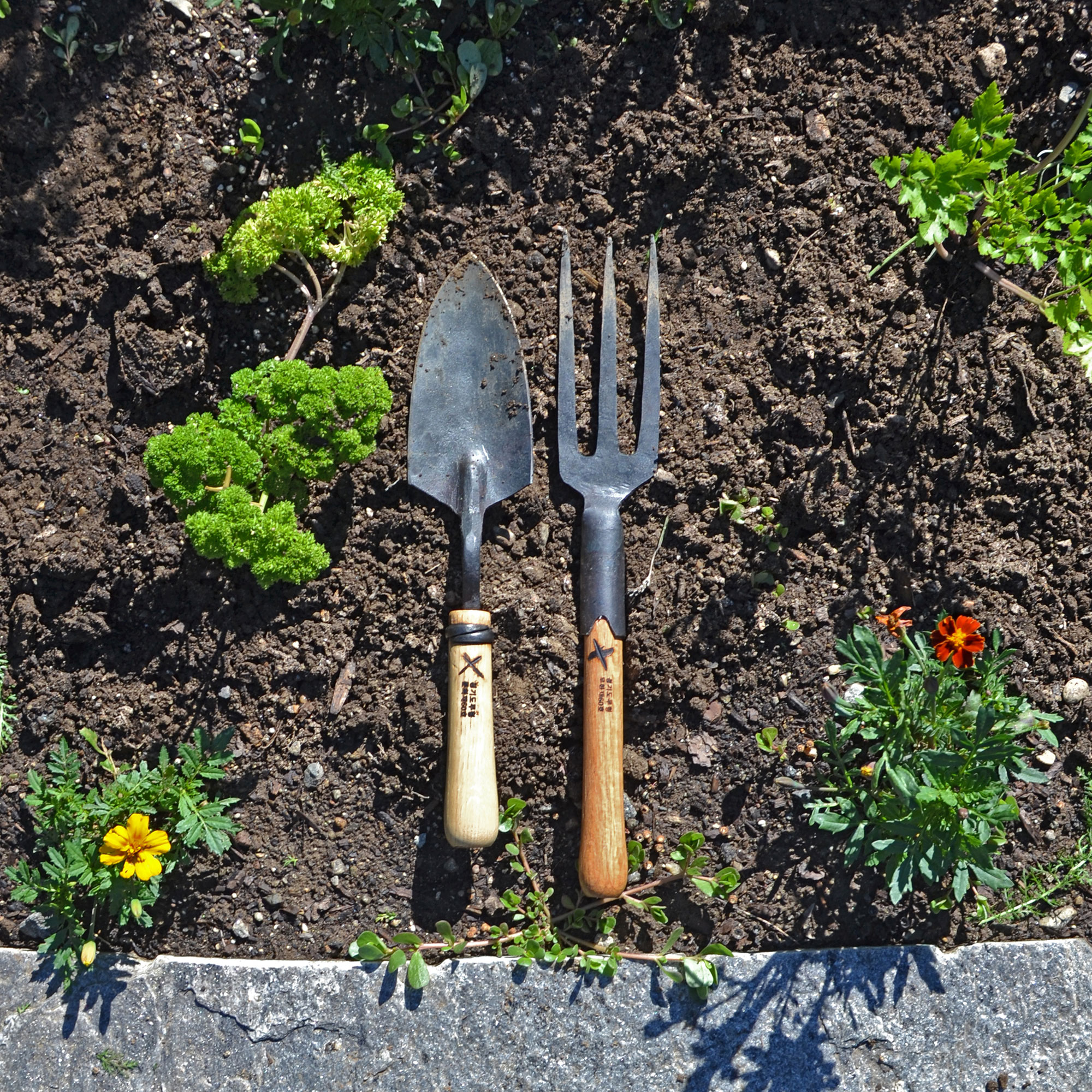 Introducing Master Shin’s Anvil - Gessato