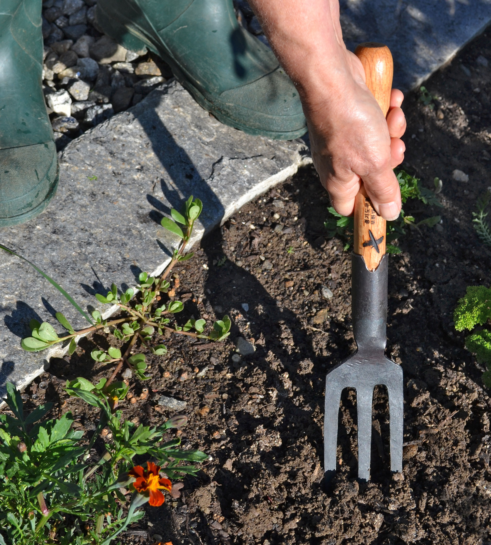 Introducing Master Shin’s Anvil - Gessato