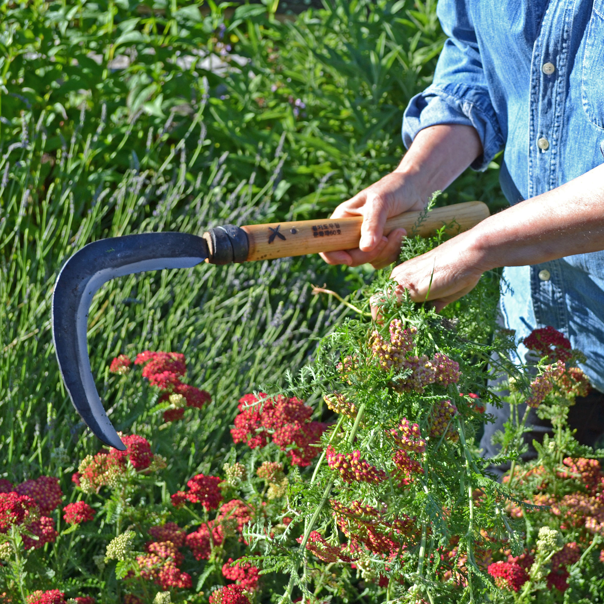 Introducing Master Shin’s Anvil - Gessato