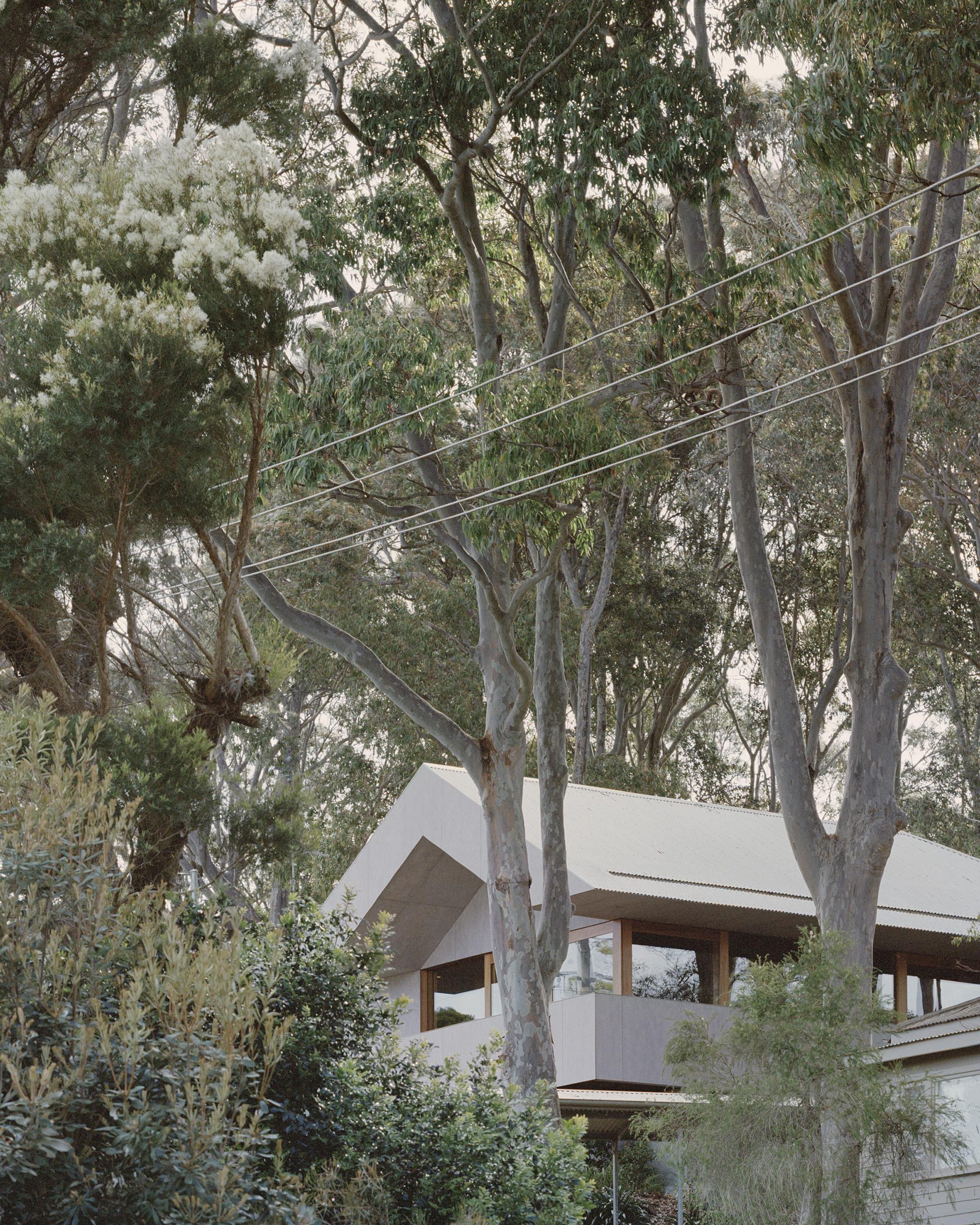 Mossy Point House - Gessato