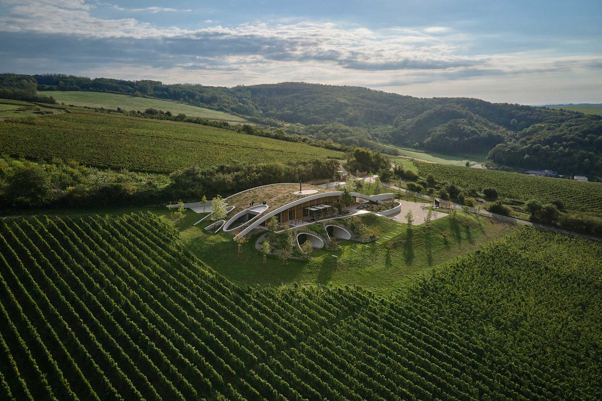 Gurdau Winery - Gessato