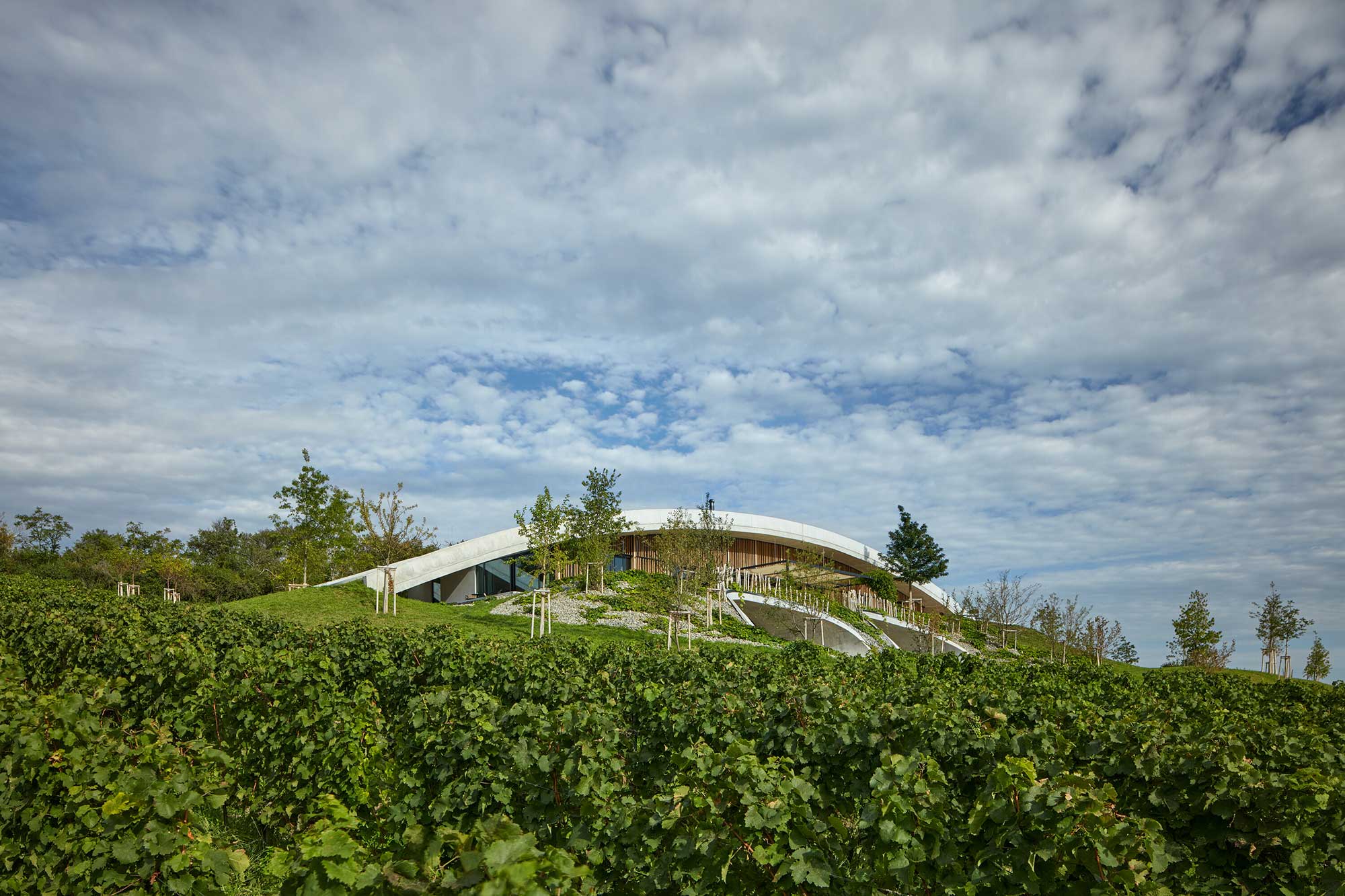 Gurdau Winery - Gessato