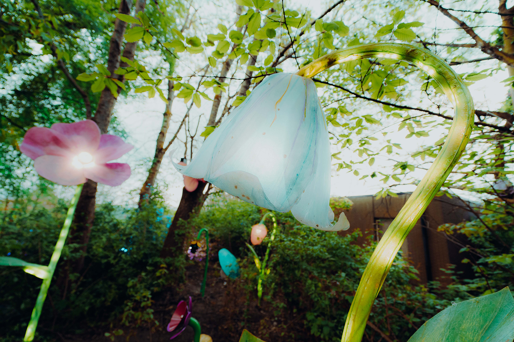 Horst Expo 2023 – Where the wild things are - Gessato
