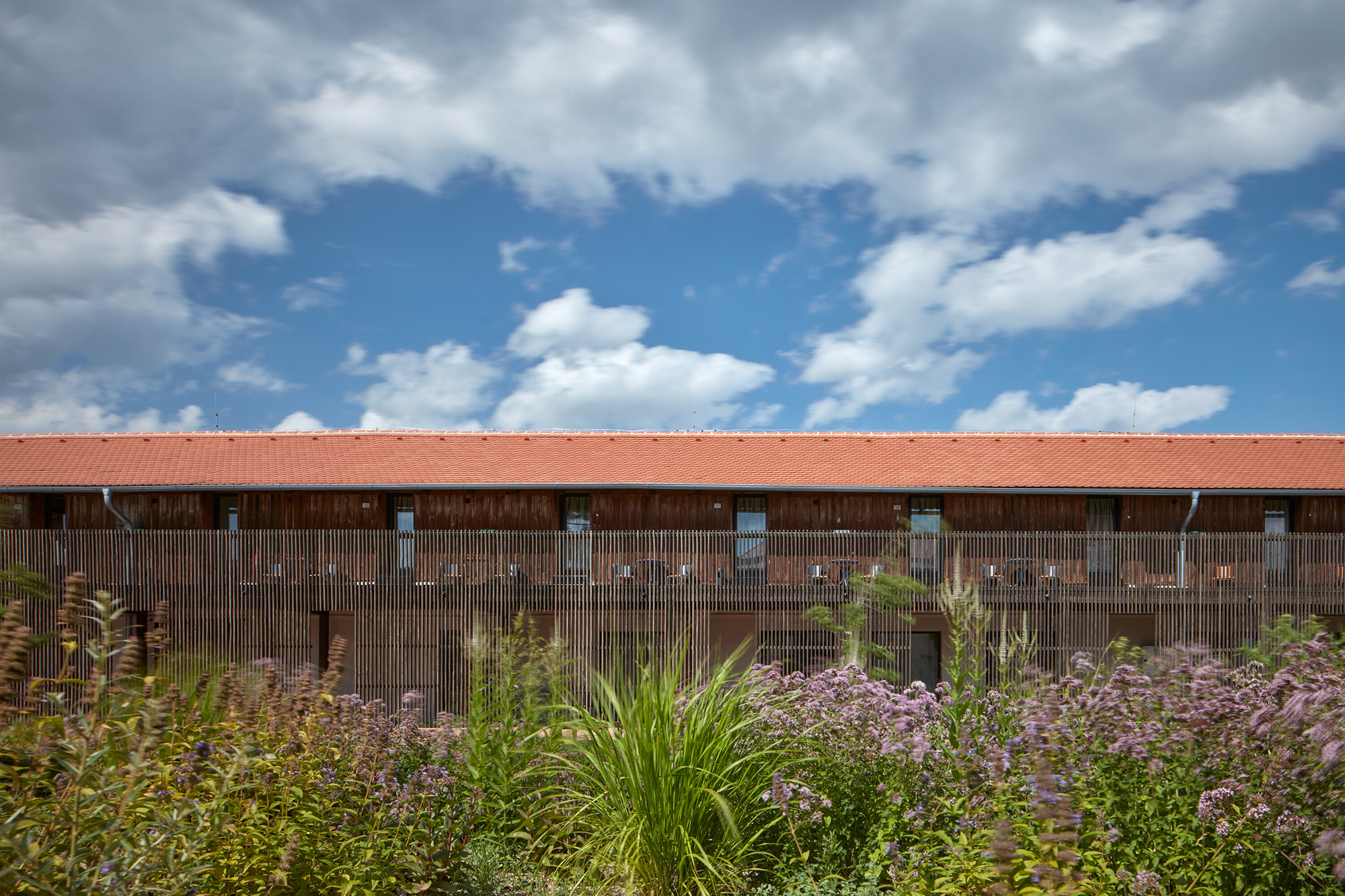 Kocanda Kravsko II - Gessato