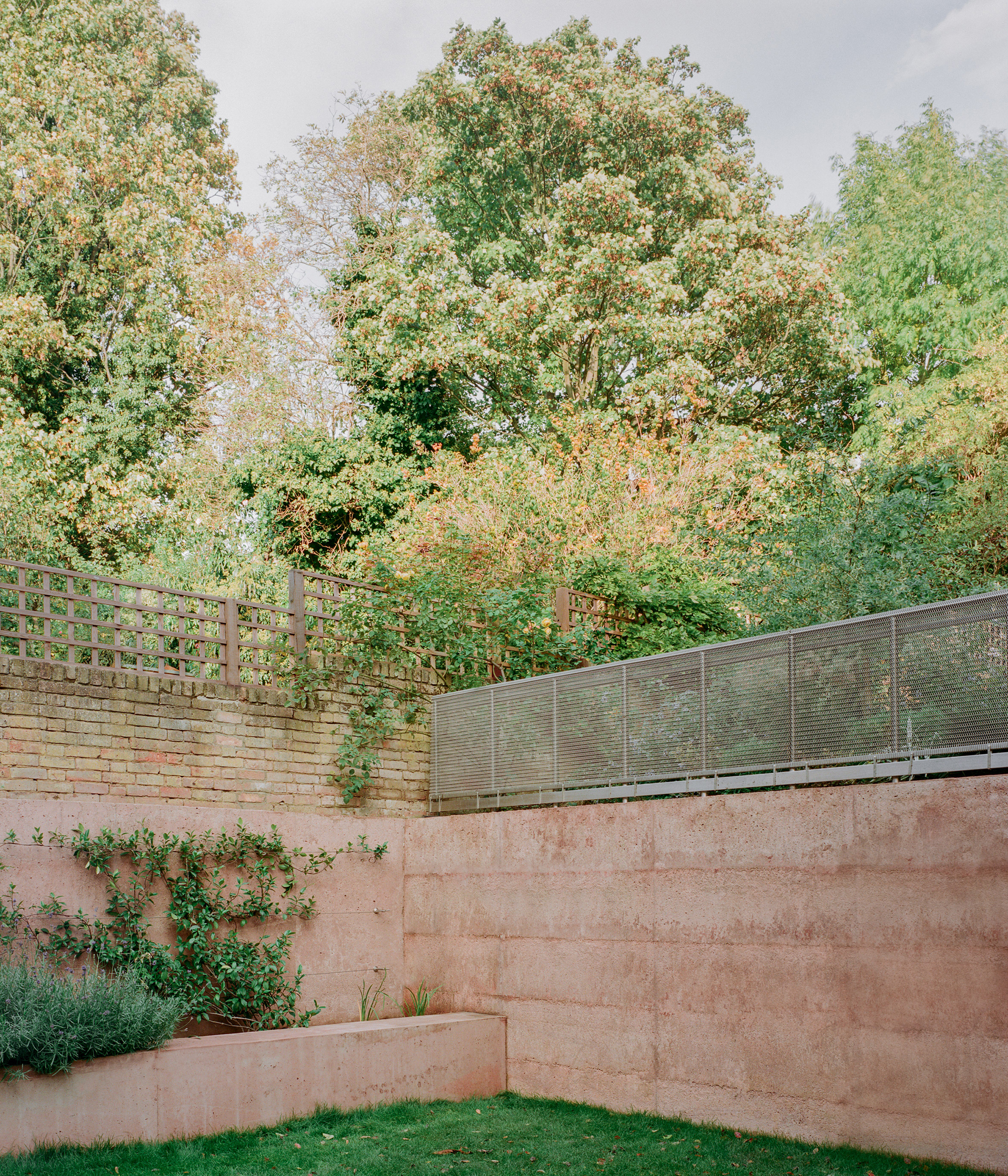 The Pigment House: A Resurrection in Rosy Hues - Gessato The Pigment House: A Resurrection in Rosy Hues - Gessato