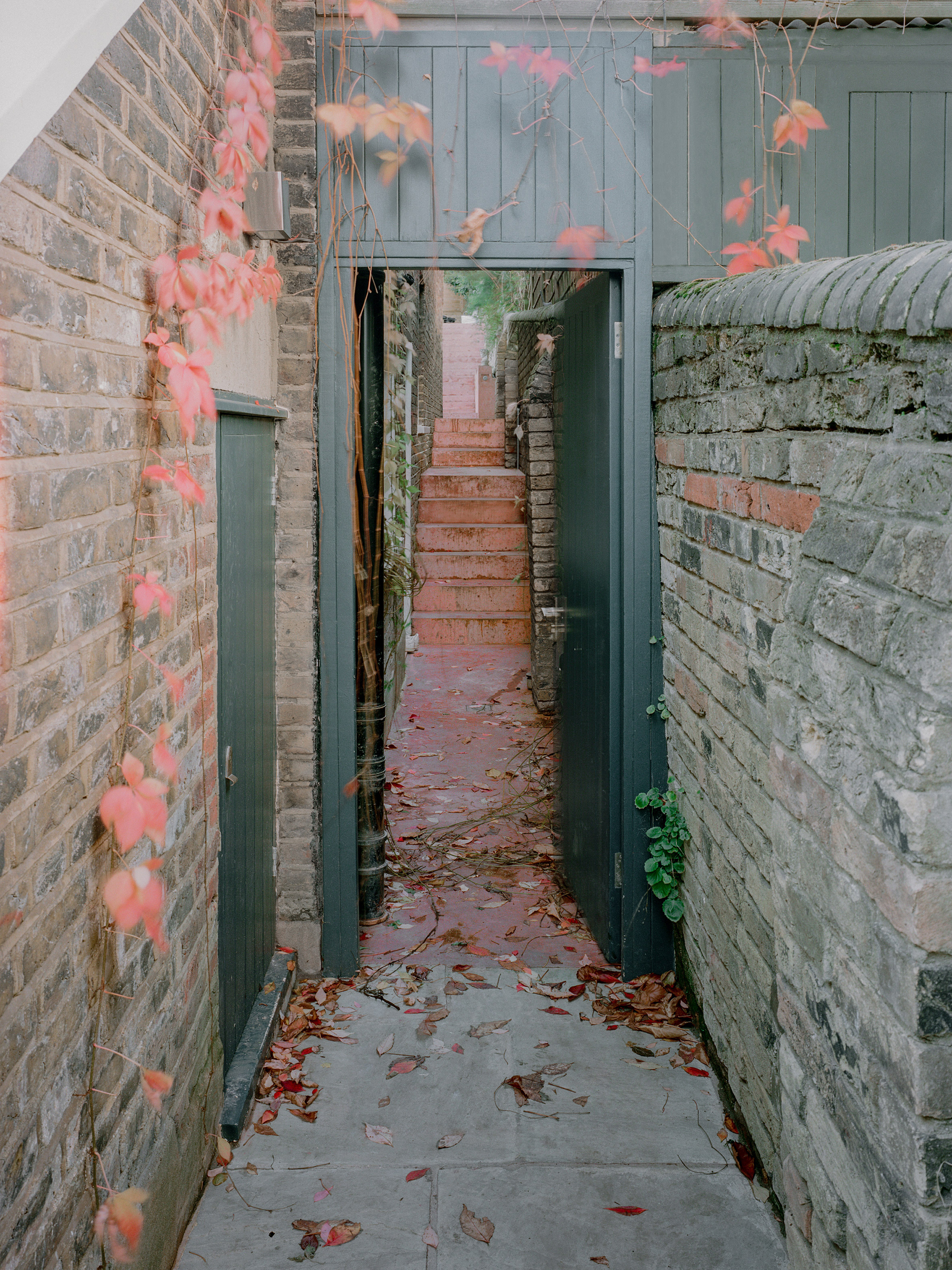 The Pigment House: A Resurrection in Rosy Hues - Gessato