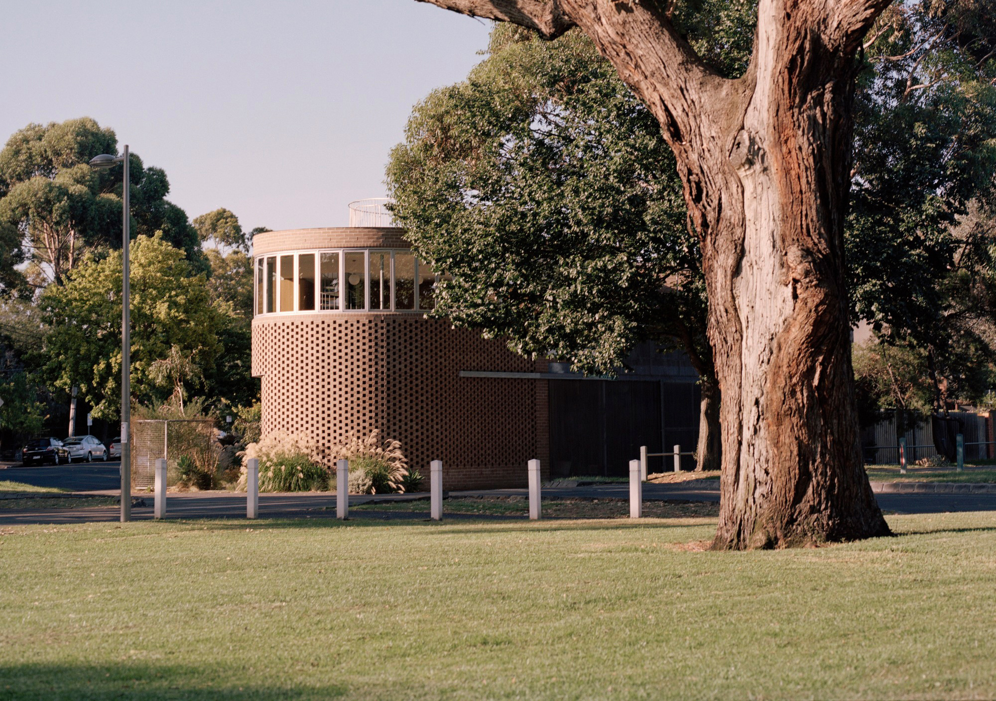 Rose House 2 - Gessato