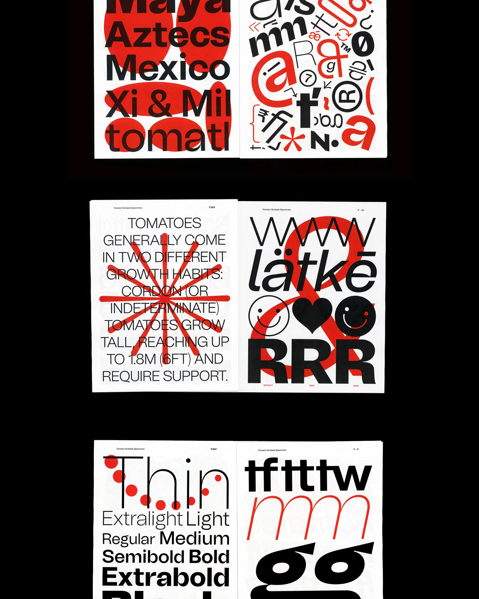 The Trio of Time, the TDF Watch - Gessato