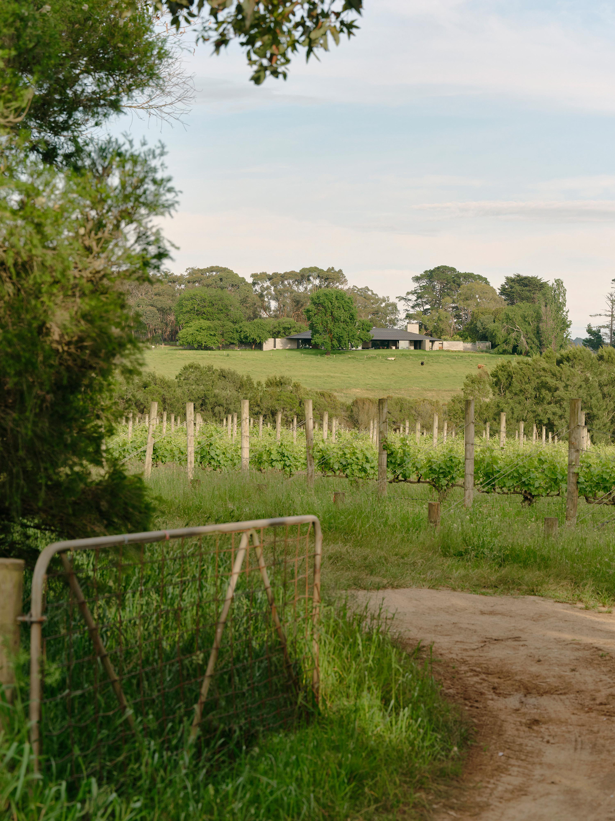 The Merricks Farmhouse - Gessato