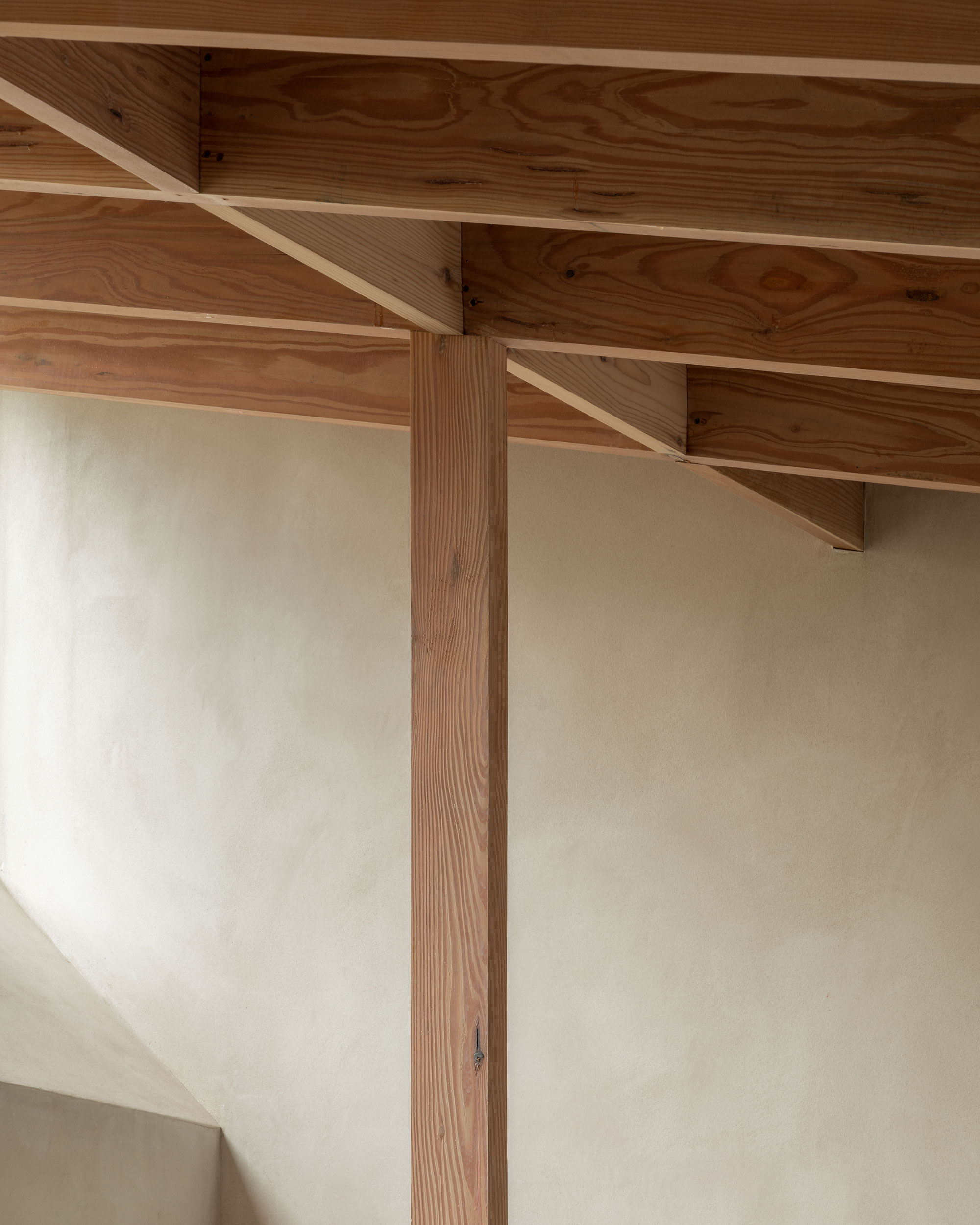 Butterfly House by Oliver Leech Architects - Gessato Butterfly House by Oliver Leech Architects - Gessato