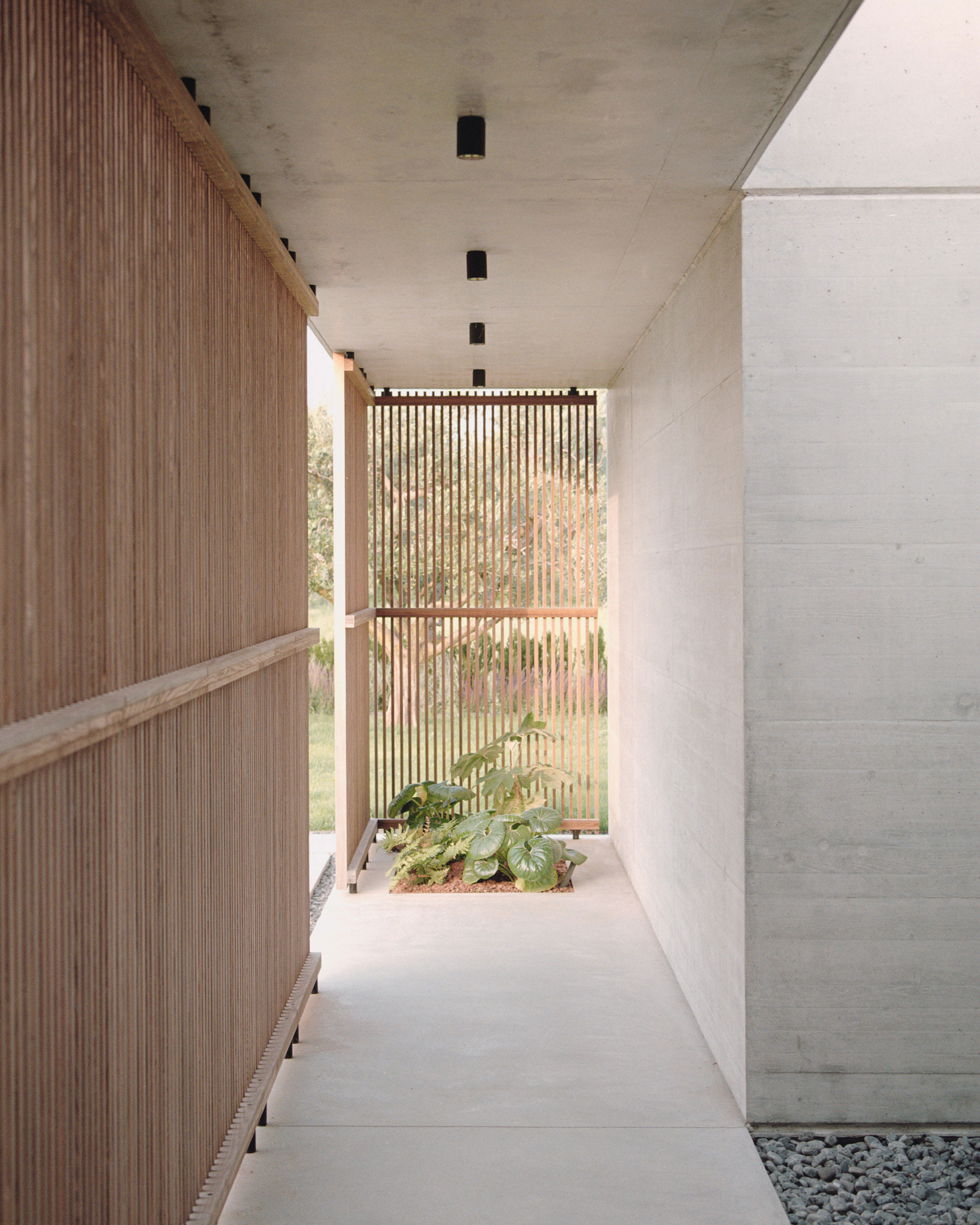 House NF by Didonè Comacchio Architects - Gessato