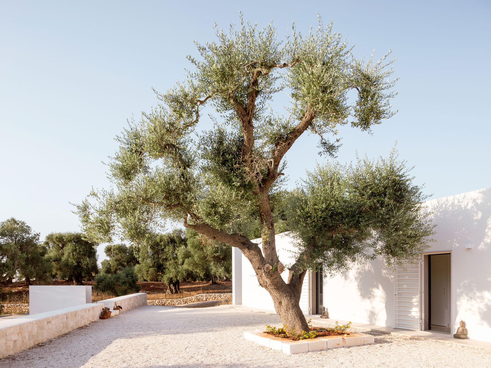 Villa Uliveto - Gessato Villa Uliveto - Gessato