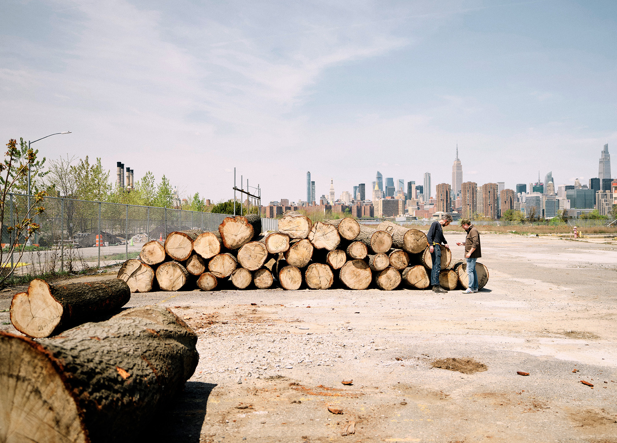 From Roots to Radiance: NYC’s Timber Transformed - Gessato