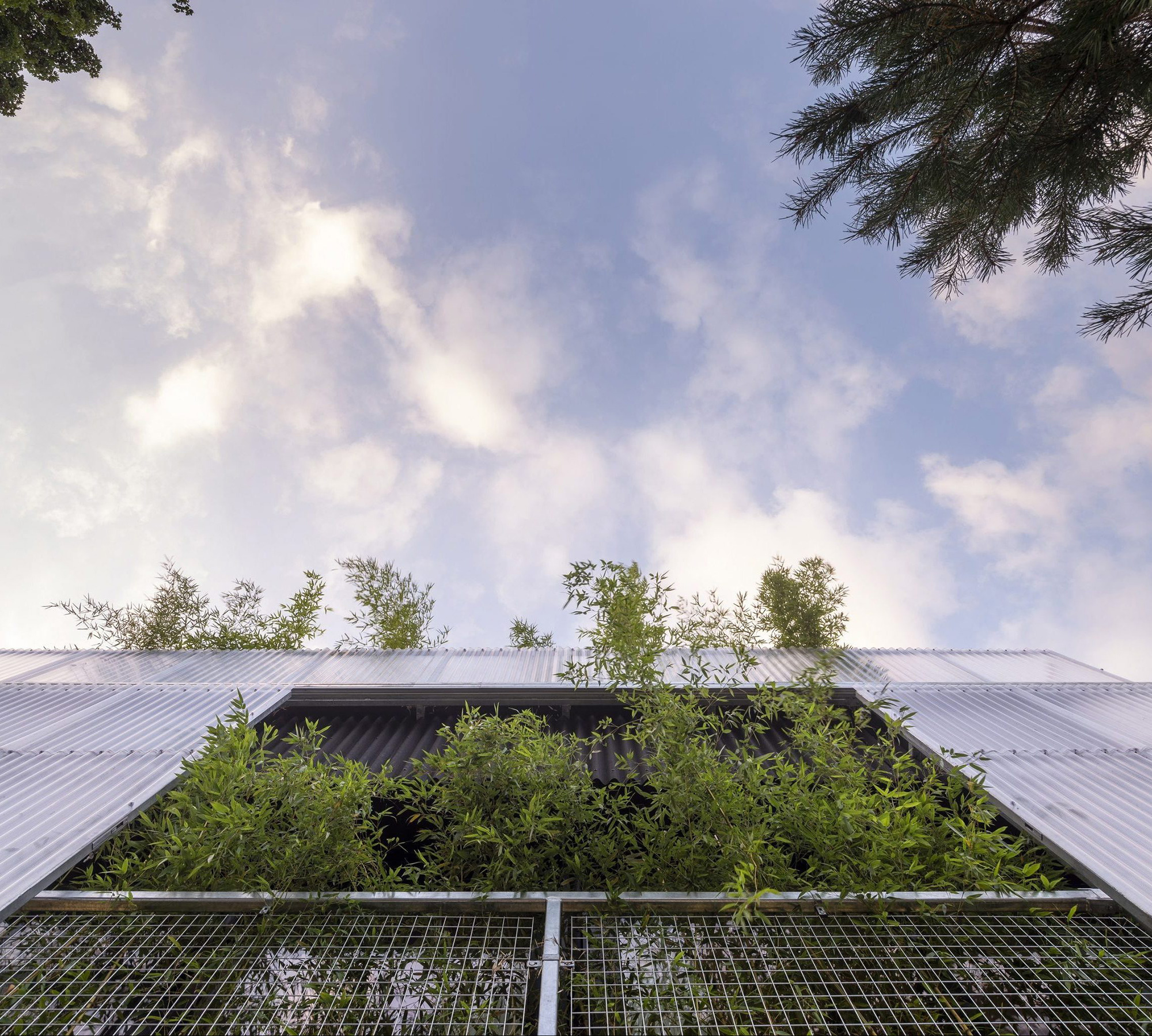 Green House: A Creative Haven in the Urban Landscape - Gessato