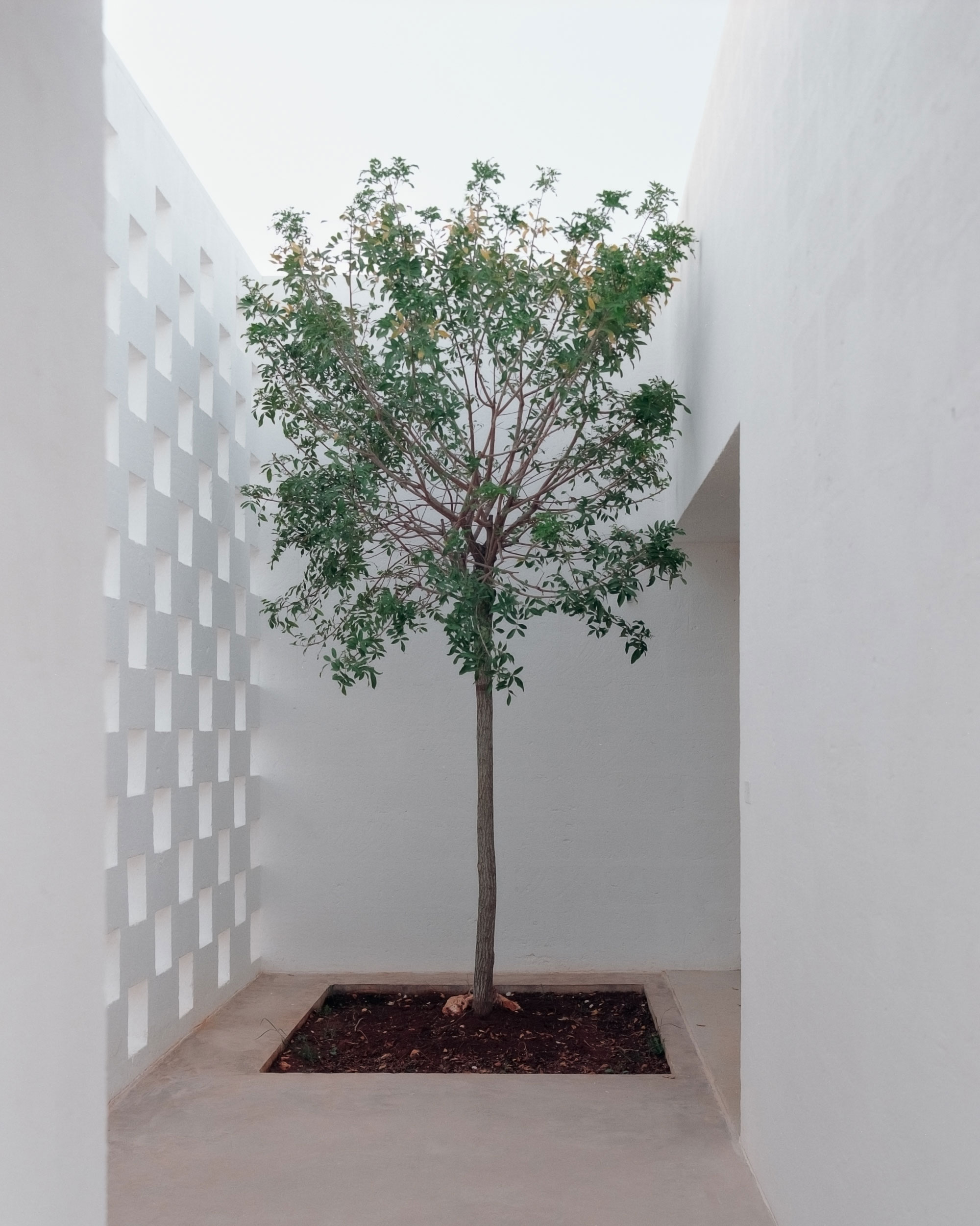 Casanguilla, A Modern House Nestled in the Countryside - Gessato